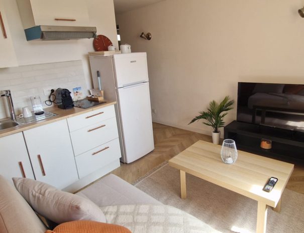 location-marseille-frioul (12)