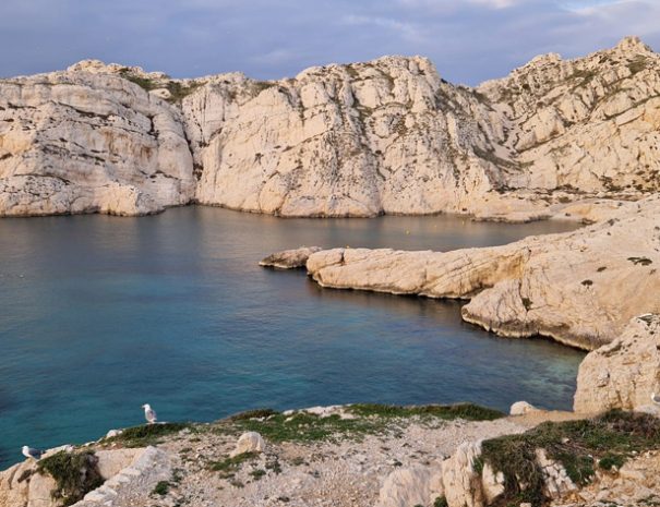 location-marseille-frioul (5)
